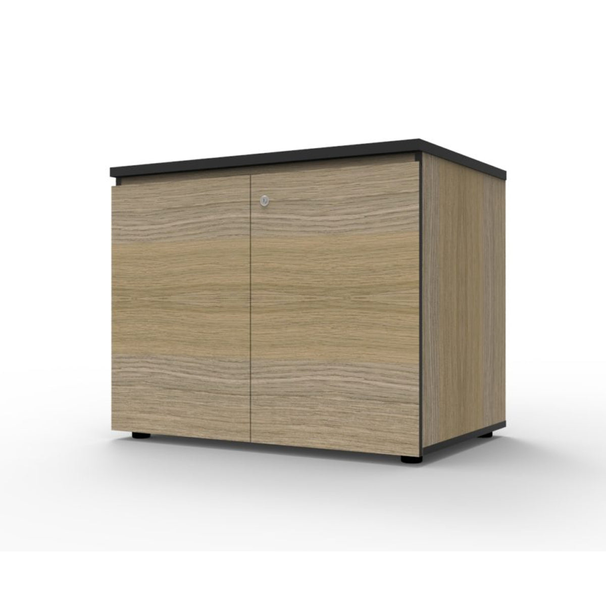 Infinity Swing Door Cupboard