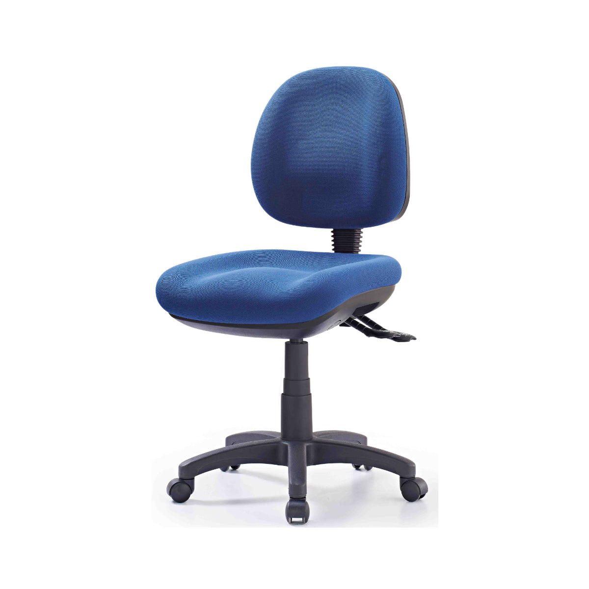 Express P350 Medium Back