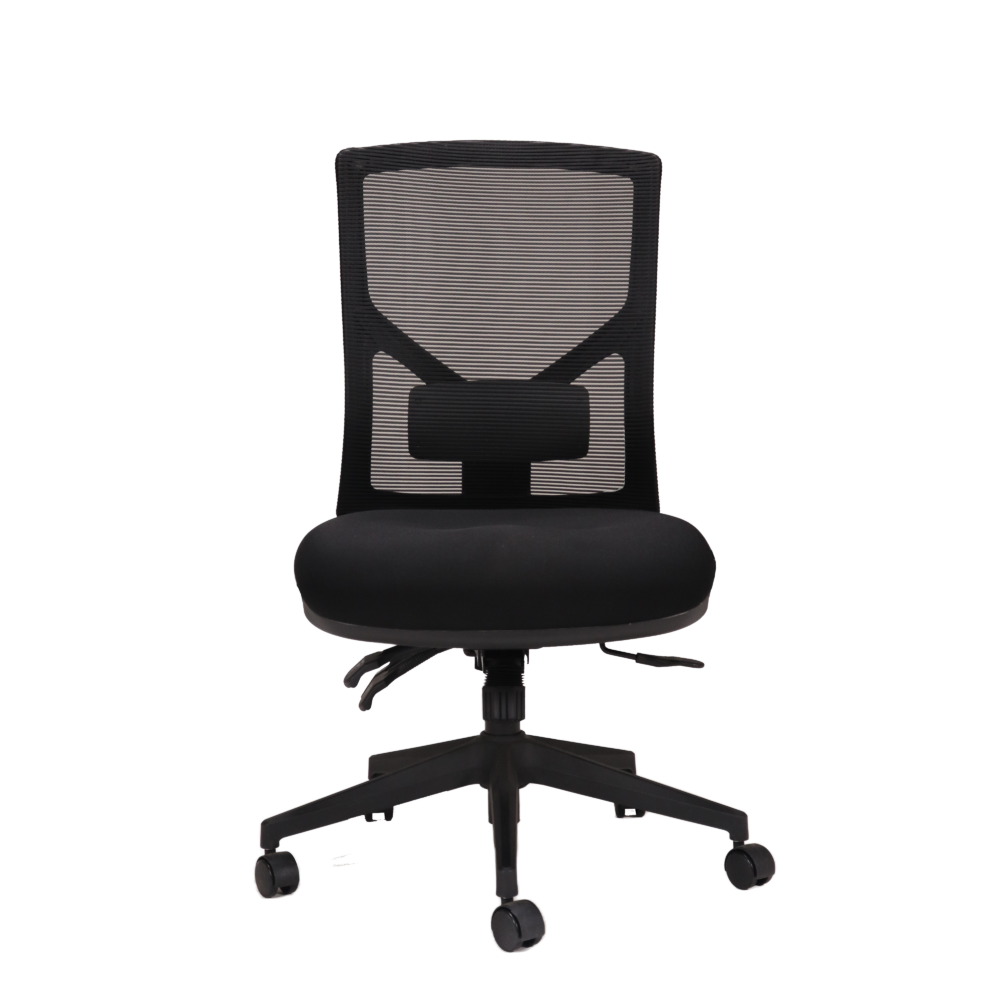 Breeze Mesh Back Chair