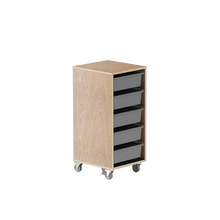 Storewell 5 Compartment Trolley