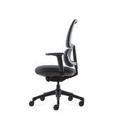 Orca Chair